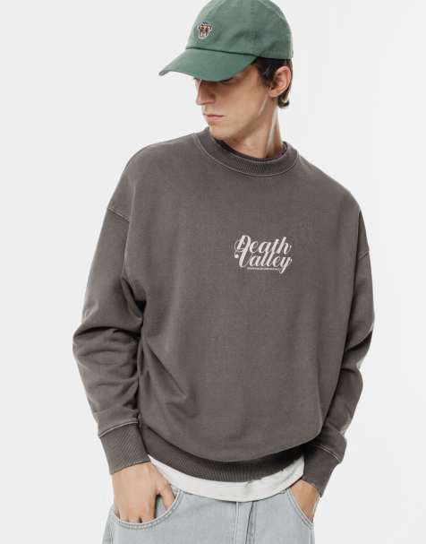 Pull&Bear – Grå sweatshirt med rund halsringning och vargtryck - view 1