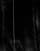 Thumbnail 7 van 7