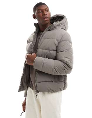 puffer jacket with hood in gray