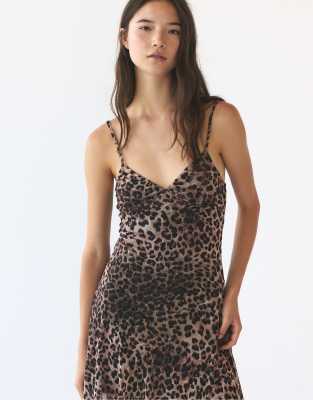 Pull & Bear - Robe courte - Imprimé léopard-Multicolore