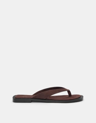 Pull & Bear - Sandales plates - Marron 41