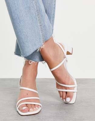 Heels pull and best sale bear