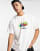 Thumbnail 1 von 4