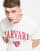 Thumbnail 1 von 4