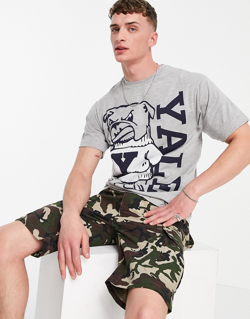 Pull & Bear T-shirt with Yale print in light gray-Grey