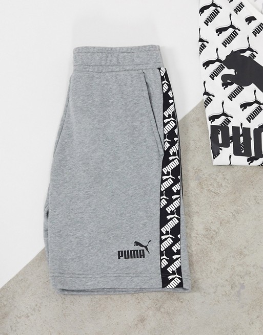 Puma Amplified Shorts 9 in Grey