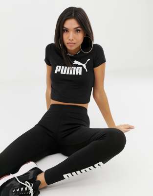 cropped puma