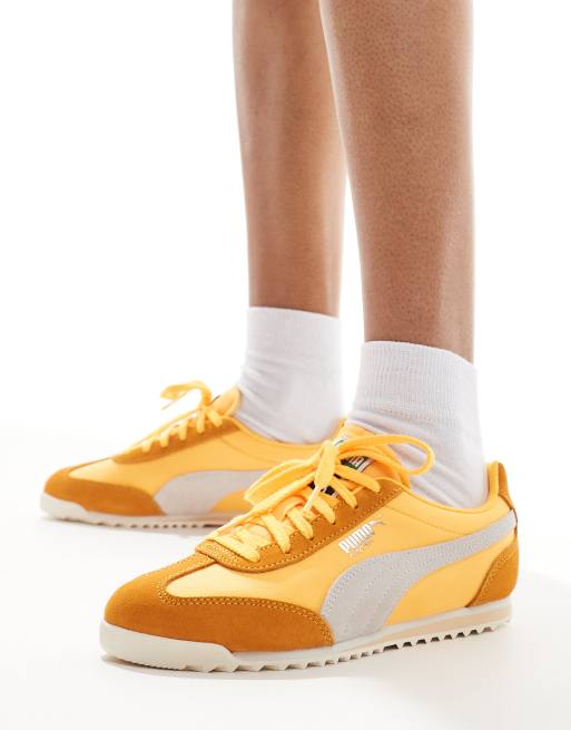 Puma whirlwind 34 best sale