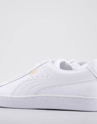 basket puma white