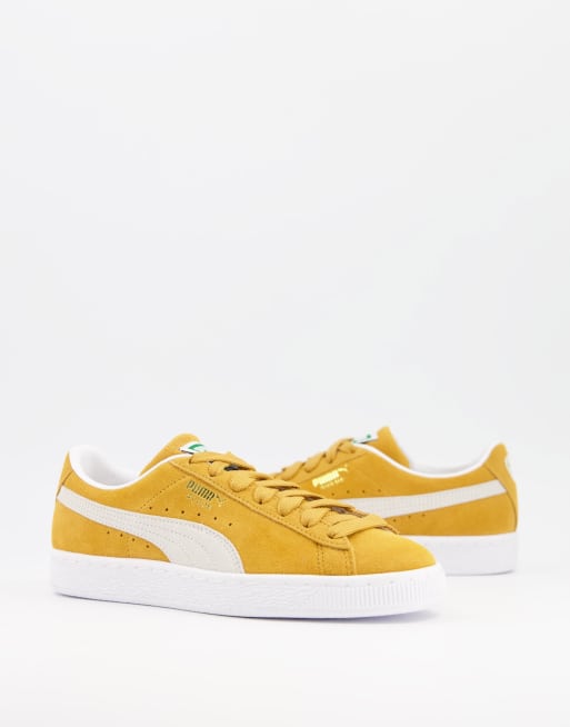puma bout doré