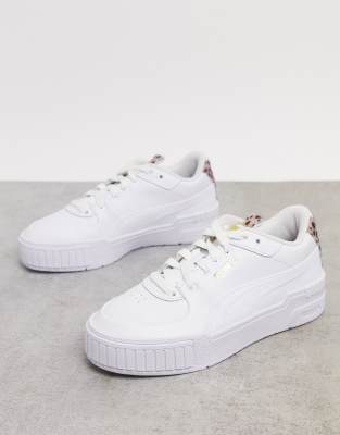 puma cali leopard