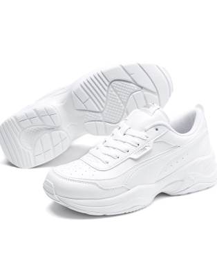 Puma 1