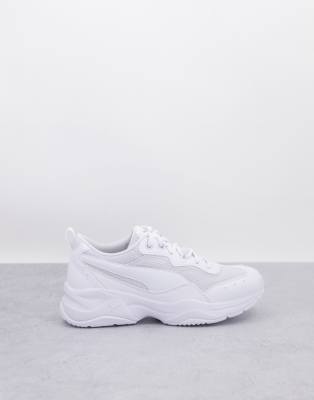 puma cilia chunky