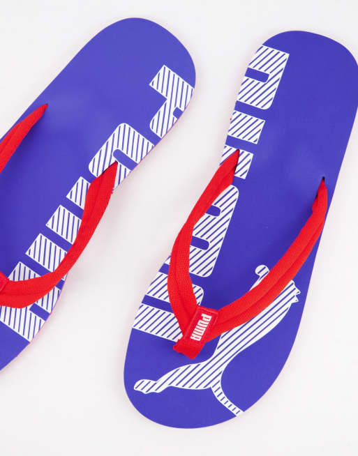 Puma blue on sale flip flops