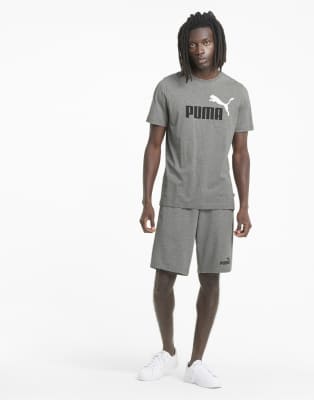 Puma 3