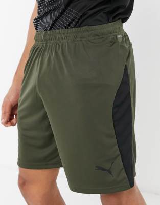 puma khaki shorts