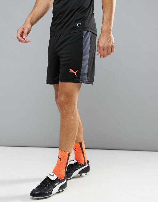 Puma store evotrg shorts