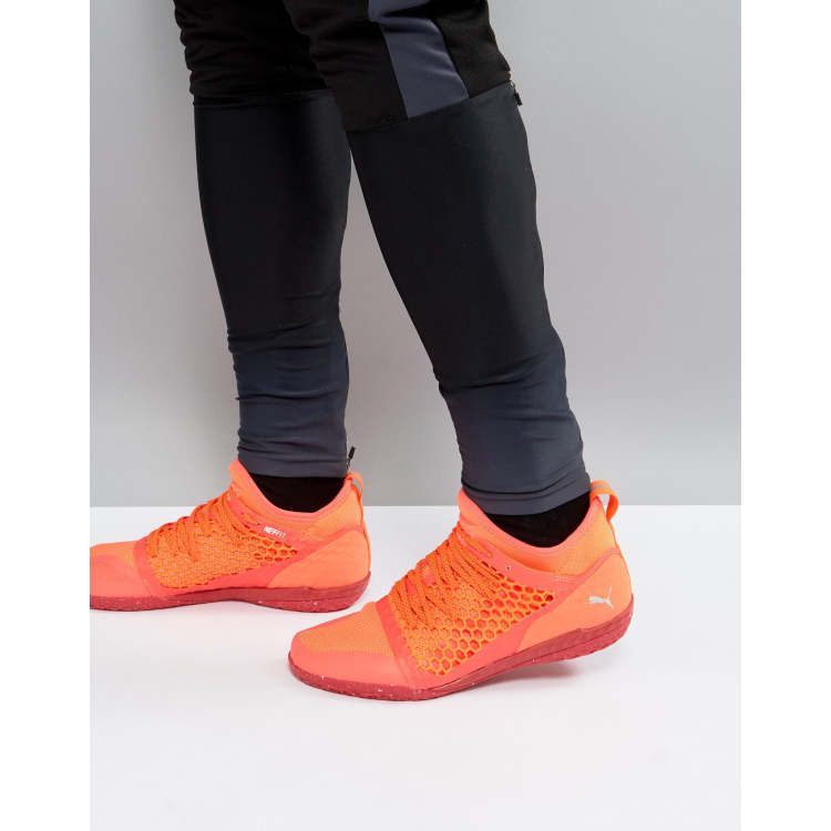 Ignite netfit shop