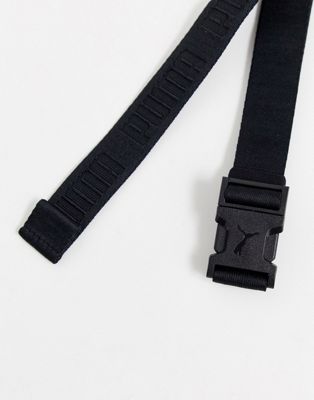 clip buckle belt