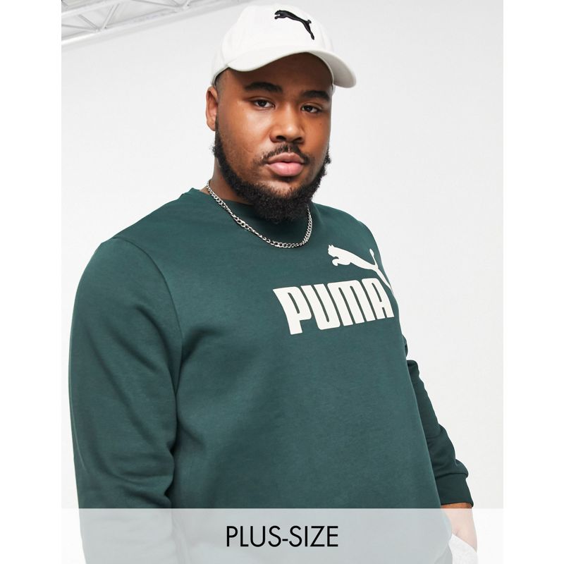 Uomo Felpe con e senza cappuccio Puma Plus - Essentials - Felpa con logo piccolo verde scuro