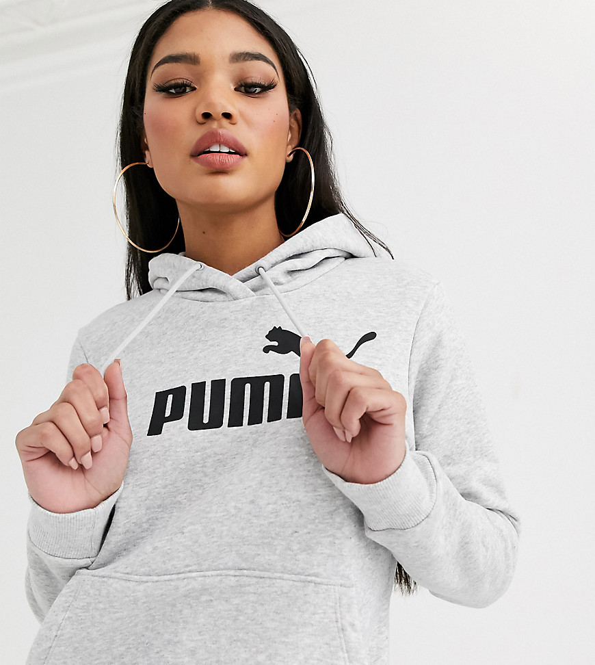 Puma Plus Essentials gray logo hoody-Grey