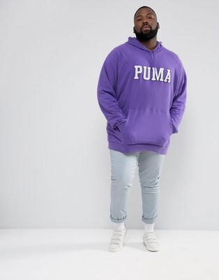 Puma PLUS Skate Hoodie With Large Logo 