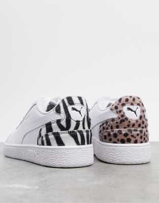 basket puma leopard