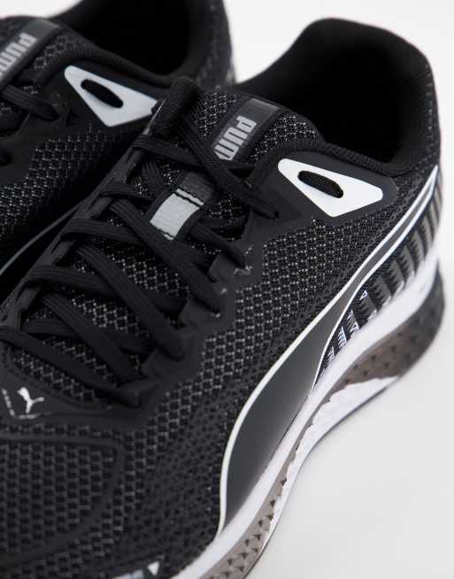 Puma on sale running speed