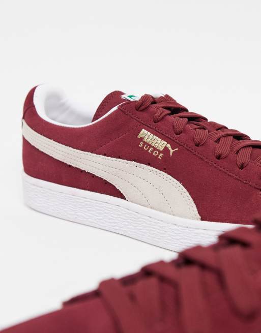 Puma store maroon trainers