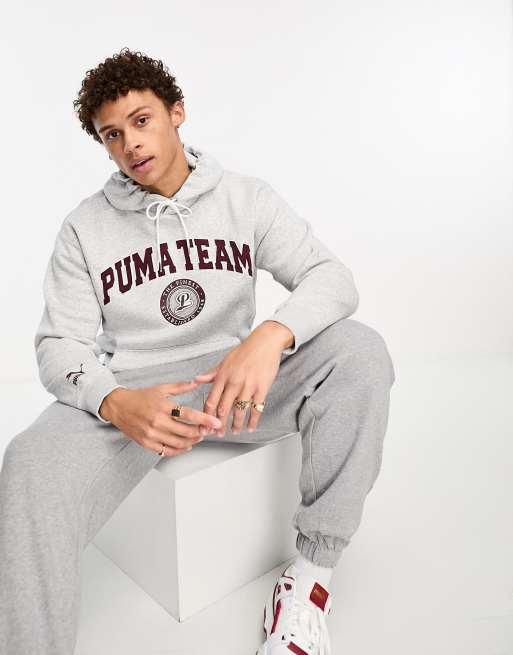 Puma Team graphic varsity hoodie in gray