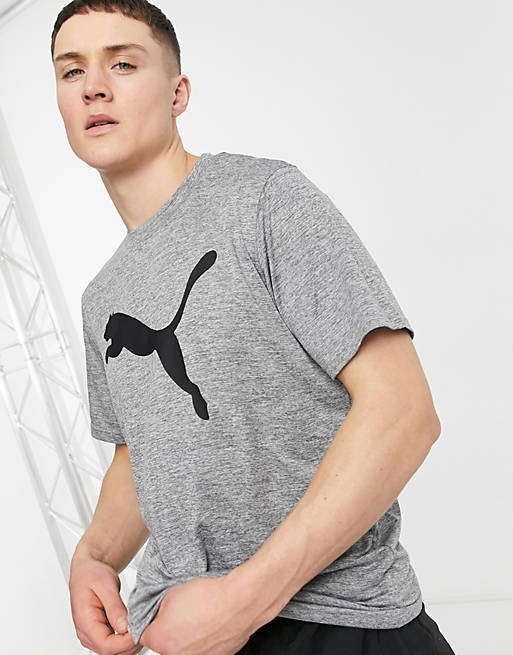 Puma Training Logo TShirt in Grey
