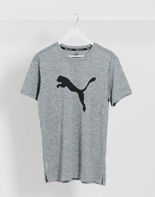 Puma Training t-shirt in grey with cat 