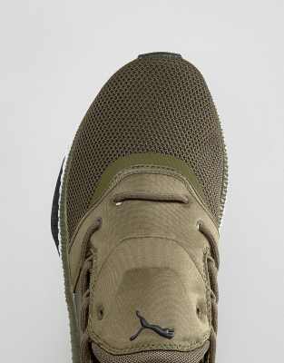 puma tsugi shinsei marroni
