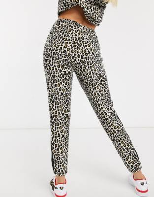 tuta leopardata puma