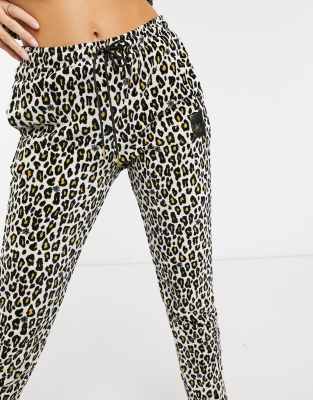 tuta leopardata puma