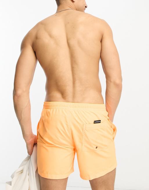 Quiksilver everyday volley swim shorts in yellow, 2 of 4