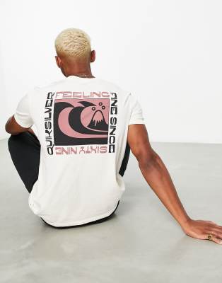 Quiksilver Quiksilver Wavy Minds back print t-shirt in pink