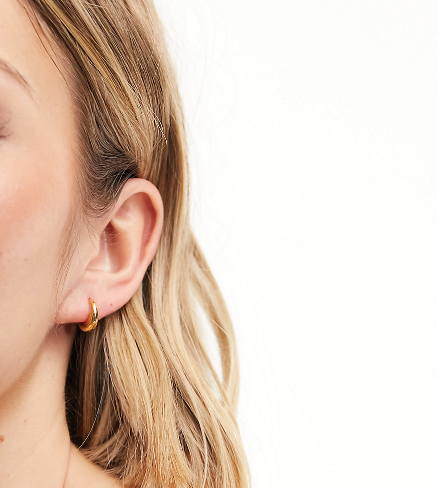 Rachel Jackson 22 carat gold plated chubby hoop earrings with gift box