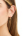 Thumbnail 3 van 3