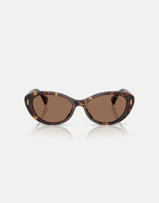 Tortoiseshell 4