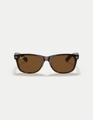 Tortoiseshell 4