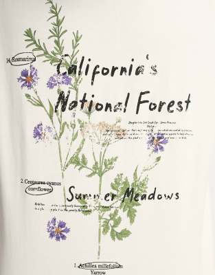 California - T-shirt unisex tonalità neutra-Neutro - Reclaimed Vintage T-shirt donna  - immagine3