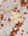 Thumbnail 2 von 3