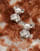 Thumbnail 2 of 3