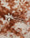 Thumbnail 2 of 3