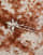 Thumbnail 2 van 3