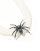 Thumbnail 2 of 4