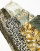 Thumbnail 2 of 6