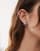 Thumbnail 1 van 3