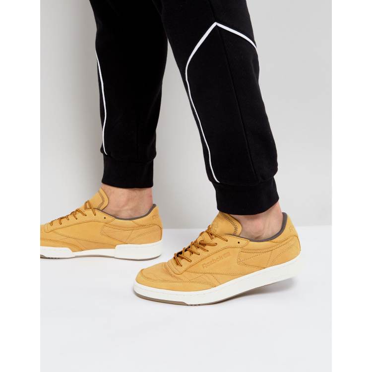 consumo pérdida Escritor Reebok Club C 85 WP Sneakers In Tan BS5205 | ASOS